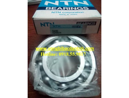 BẠC ĐẠN 6206 - NTN